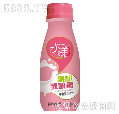 Сݮζ310ml