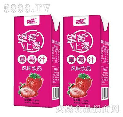 Éݮֹʲݮ֭L(fng)ζƷ250ml