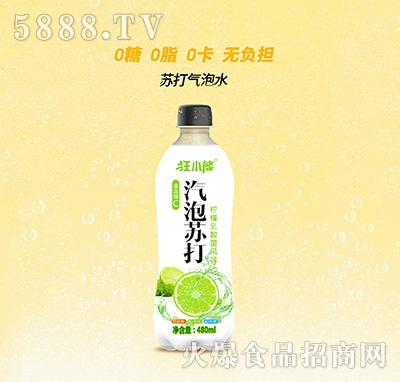 СKˮLζƷ480ml