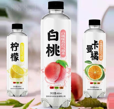 ҬKˮ480ml3ƿ