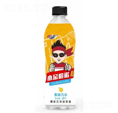 \(yn)(dng)xСGZζˮ520ml
