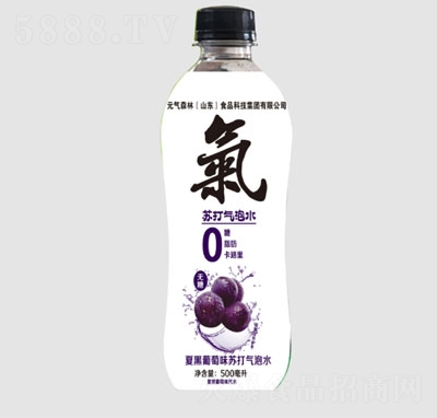 ԪɭĺζKˮ500ml