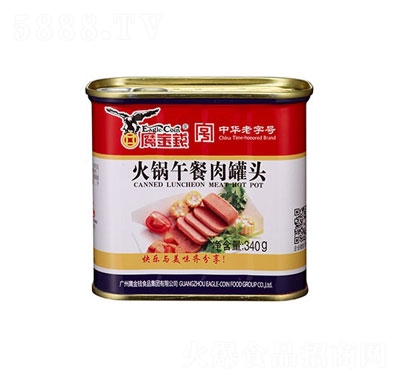 X(qin)^340g