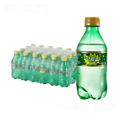 ѩޙļ̼ˮ̳؛Դ300ml