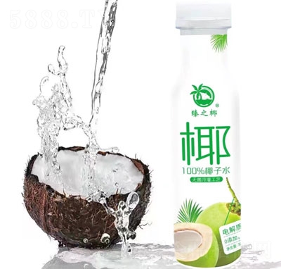 ֮Ҭ100%Ҭˮ늽|Ʒ300ml