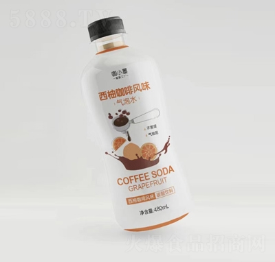 СīֿLζˮ̴480ml