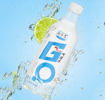 ͚ˮL(fng)ζԭζ500ml