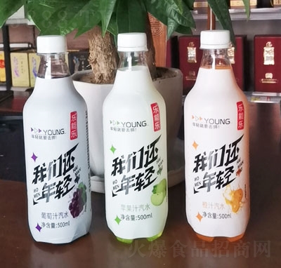 ܘ֭ˮ500ml