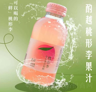 ԽͺϹ֭310ml