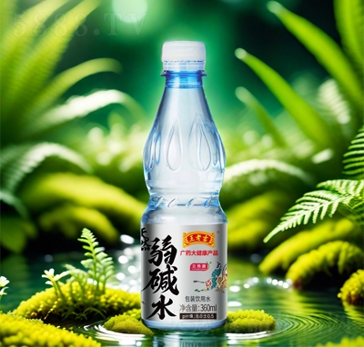 ϼB(yng)ԴAˮ360ML