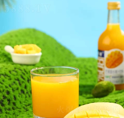 Tâ(f)Ϲ֭330ml