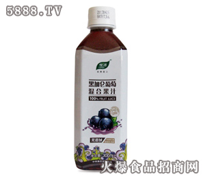100ڼӁѻϹ֭300ml