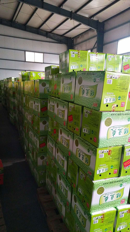 愛(ài)雨綠豆爽1 愛(ài)雨綠豆爽1