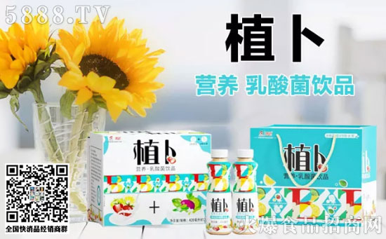 植卜營(yíng)養(yǎng)型乳酸菌 植卜營(yíng)養(yǎng)型乳酸菌