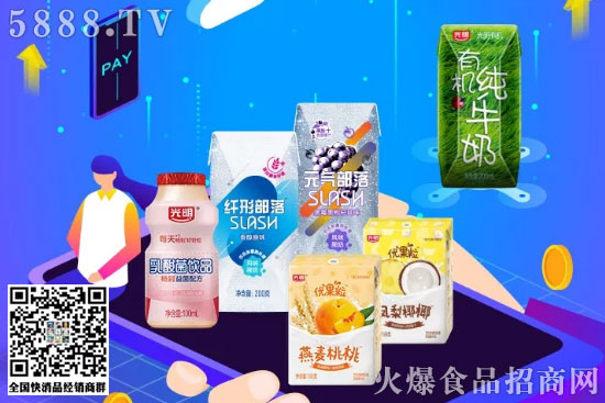 乳酸菌 乳酸菌