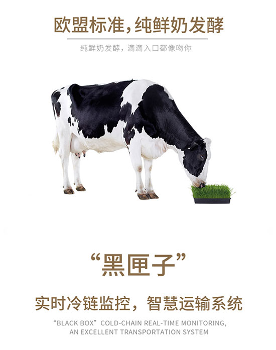 未標(biāo)題-5 未標(biāo)題-5