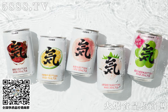 產(chǎn)品更加多元化 產(chǎn)品更加多元化