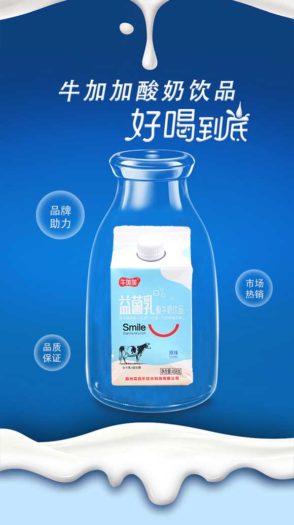 牛加加益菌乳酸牛奶原味 牛加加益菌乳酸牛奶原味