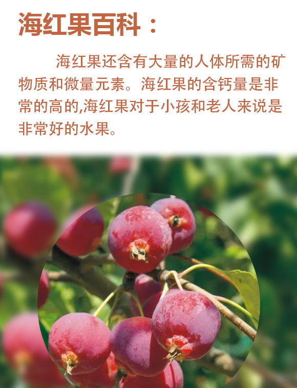 山西海紅樹食品有限公司-藍(lán)色易拉罐_02 山西海紅樹食品有限公司-藍(lán)色易拉罐_02