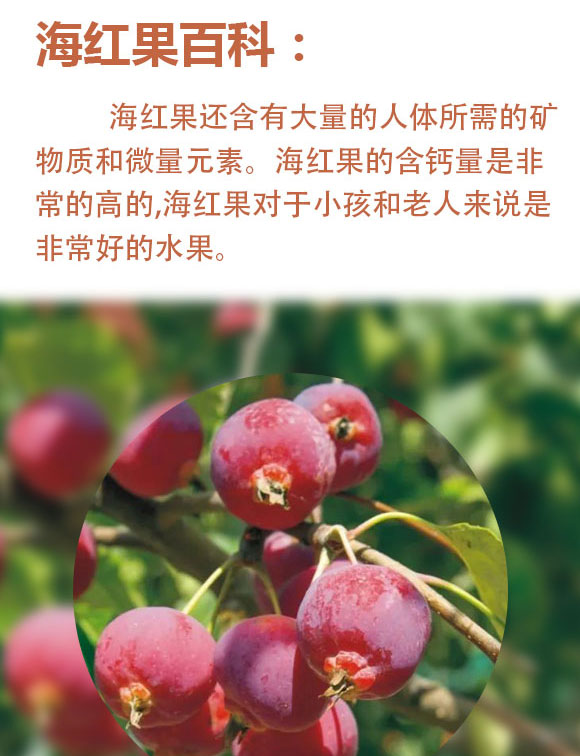 山西海紅樹食品有限公司-藍色玻璃瓶_02 山西海紅樹食品有限公司-藍色玻璃瓶_02