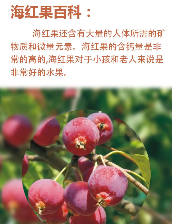 山西海紅樹(shù)食品有限公司-紅色易拉罐_02 山西海紅樹(shù)食品有限公司-紅色易拉罐_02