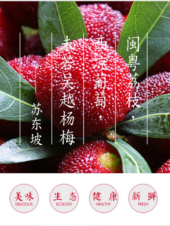 芝士跳動食品(浙江)有限公司-楊梅汁_04 芝士跳動食品(浙江)有限公司-楊梅汁_04
