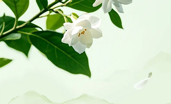 VĽpʳƷƼ޹˾--a(chn)Ʒ(hu)(c)2_06
